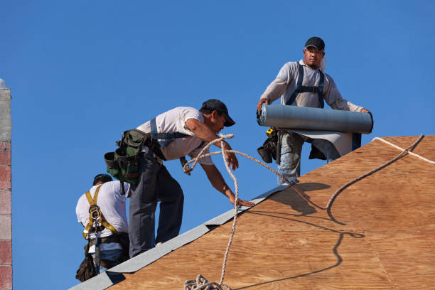 Best Storm Damage Roof Repair  in Springfield, NJ