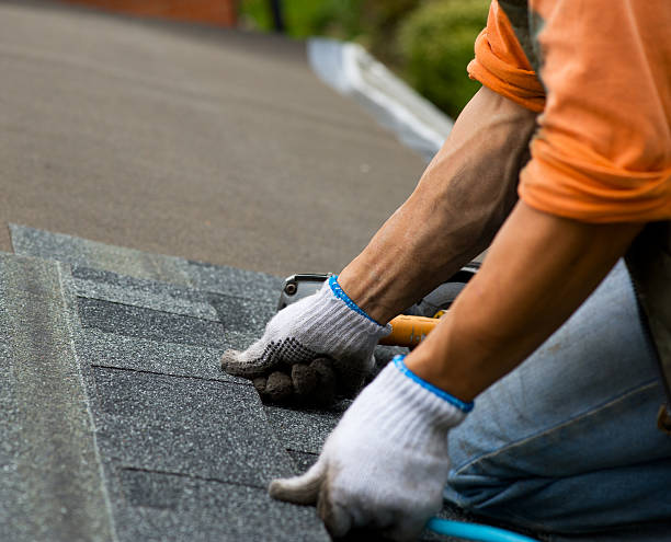 Best Local Roofing Companies  in Springfield, NJ