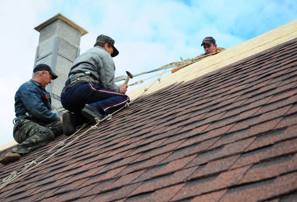 Best Roof Leak Repair  in Springfield, NJ
